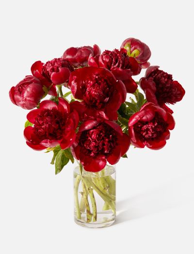 The Cherry-FLRL-B-10042